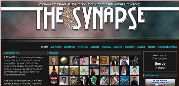 The Synapse Social Network