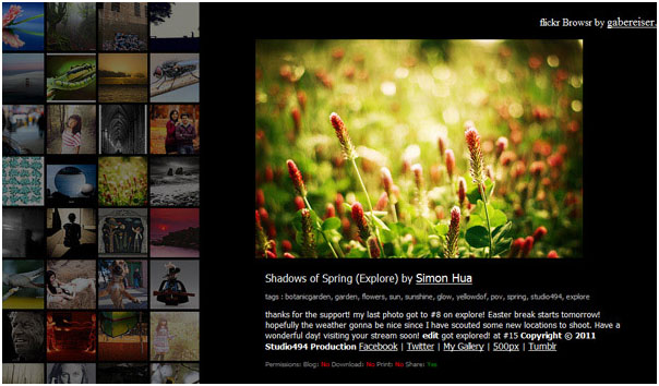 Flickr Browser