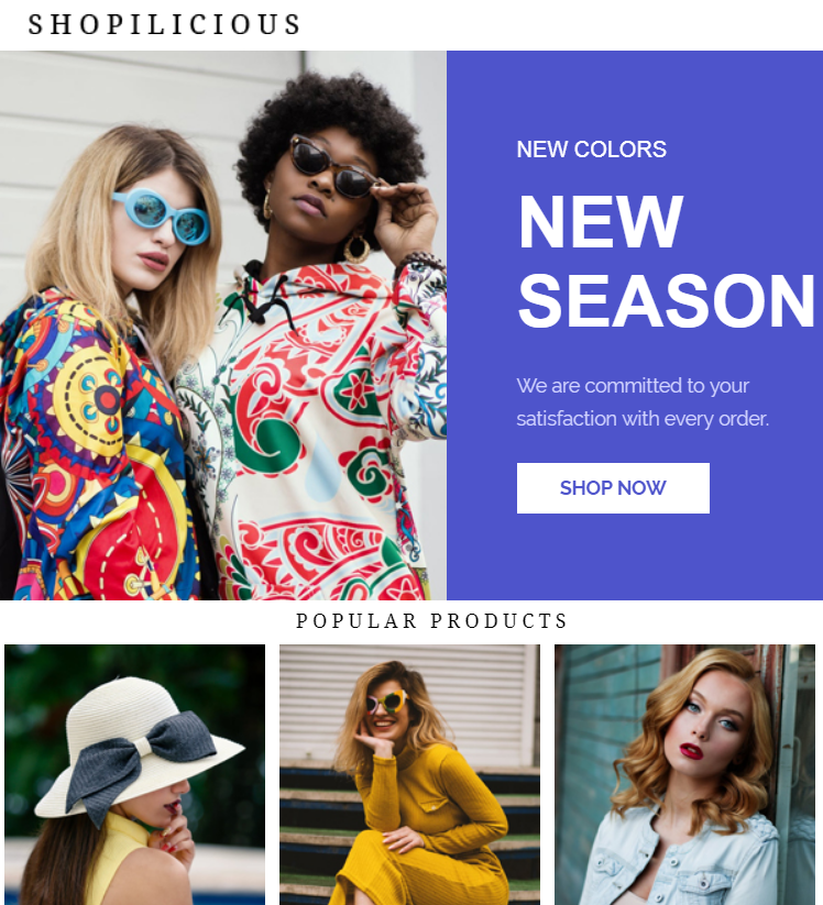 Shopilicious - Responsive Email Template